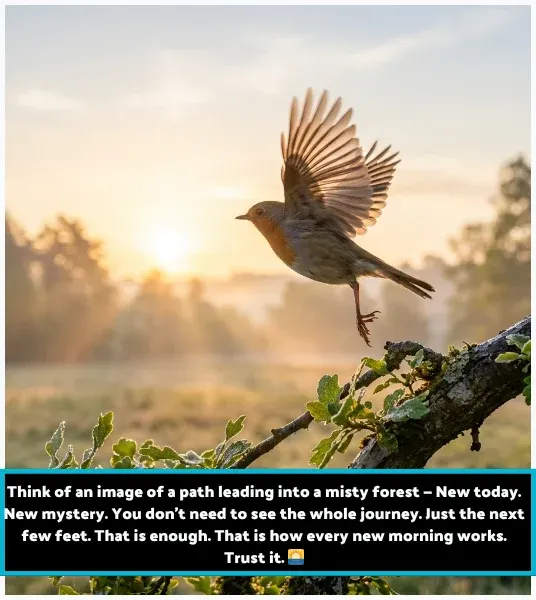 New Today New Good Morning ImagesΒ New Today New Good Morning ImagesΒ